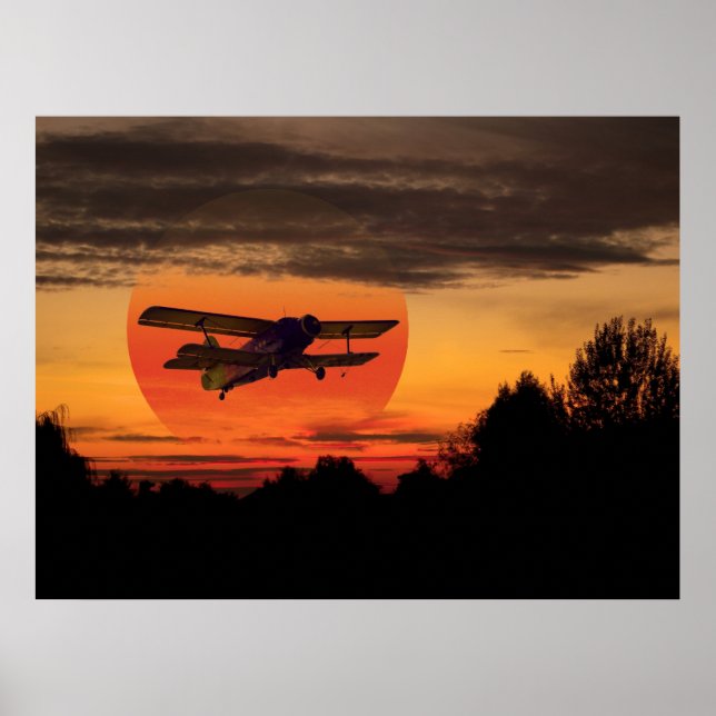 Affiches biplane (Devant)