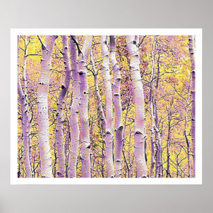 Affiches Birch d'automne