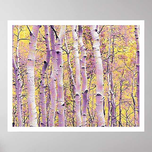 Affiches Birch d'automne (Devant)