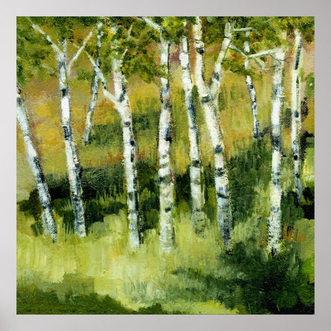 Affiches Birch Trees (Devant)