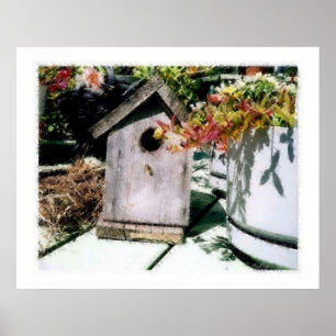Affiches Bird House