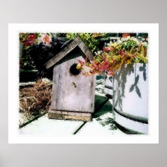 Affiches Bird House (Devant)