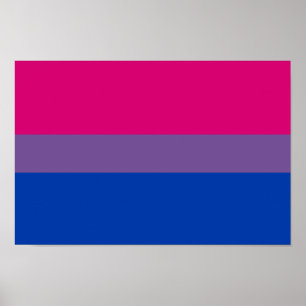 Affiches Bisexual pride