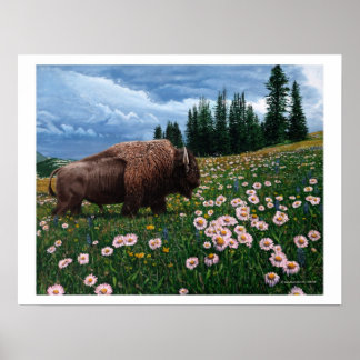 Affiches Bison Américain - "Pas Le Temps Pour Les Fleurs"