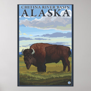 Affiches Bison Scene - bassin de la rivière Chitina, Alask