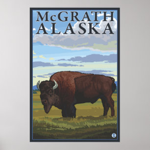 Affiches Bison Scene - McGrath, Alaska