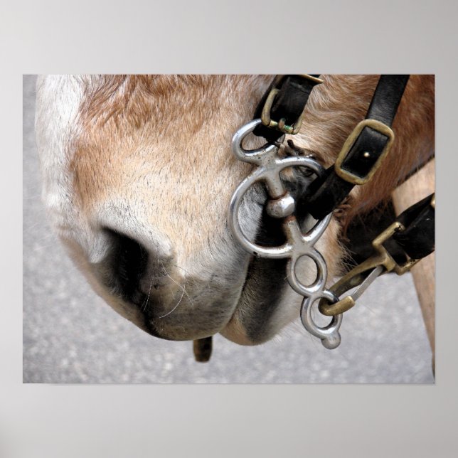 Affiches Bit de conduite (Devant)