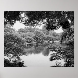 Affiches Black and white, cool, unique nature et lake