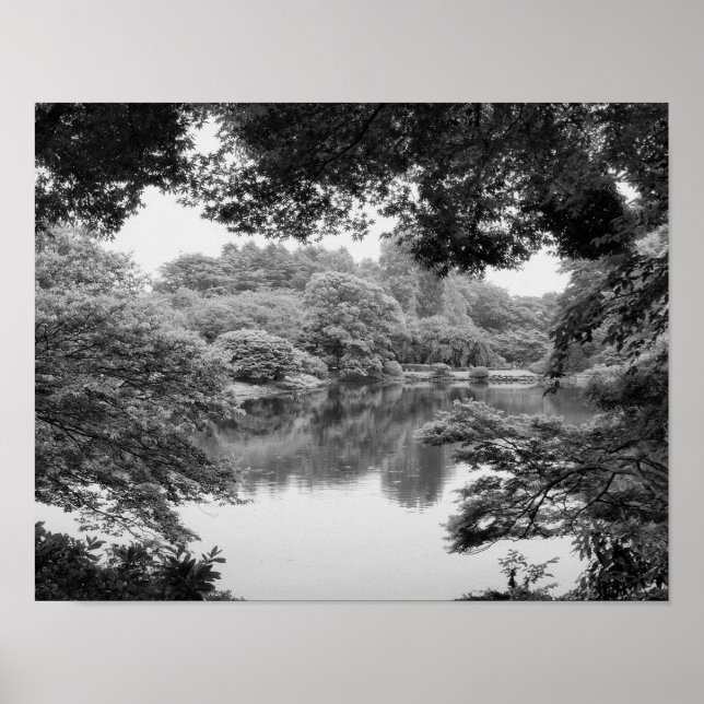 Affiches Black and white, cool, unique nature et lake (Devant)