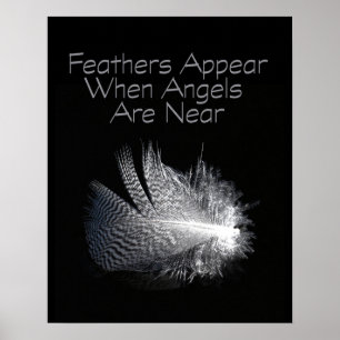 Affiches Black and White Striped Feather Floating on a Pond