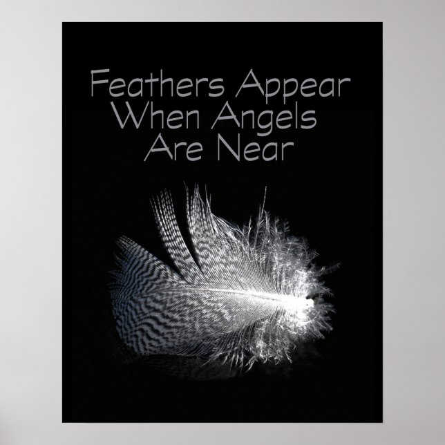 Affiches Black and White Striped Feather Floating on a Pond (Devant)