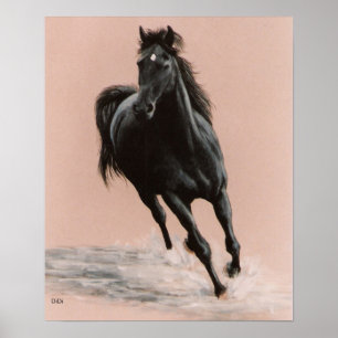 Affiches Black Arabian Horse print