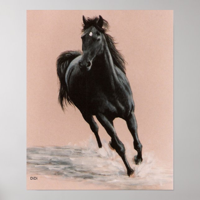 Affiches Black Arabian Horse print (Devant)