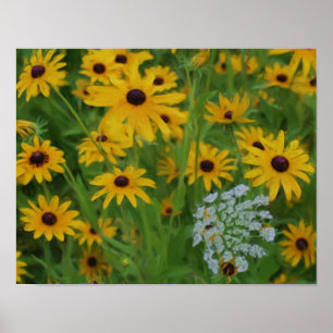 Affiches Black Eyed Susan Daisy