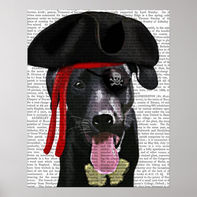 Affiches Black Labrador Pirate (Devant)