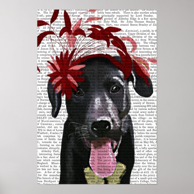Affiches Black Labrador With Red Fascinator (Devant)