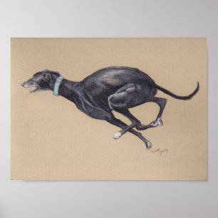 Affiches Black Running Greyhound Dog Art Imprimer