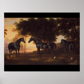 Affiches Black Stallions Peinture Vintage par George Stubbs