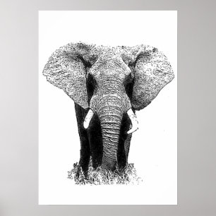 Affiches Black & White Asian Elephant Pop Art