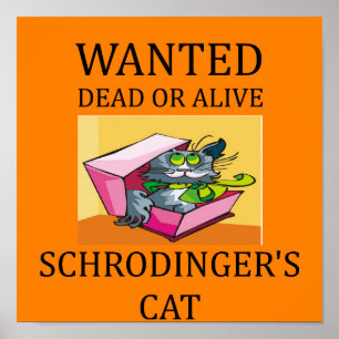 Affiches blague de chat de schrodinger