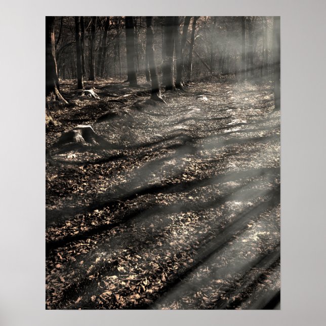 Affiches Blair Witch....là-bas ! (Devant)