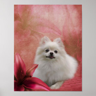 Affiches Blanc Poméranien Chien Lily Fleurs d'art animal