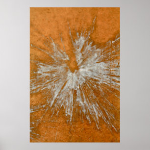 Affiches Blanc sur Gold Paintball