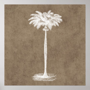 Affiches Blanc tropical vintage de modèle de palmier d'îl