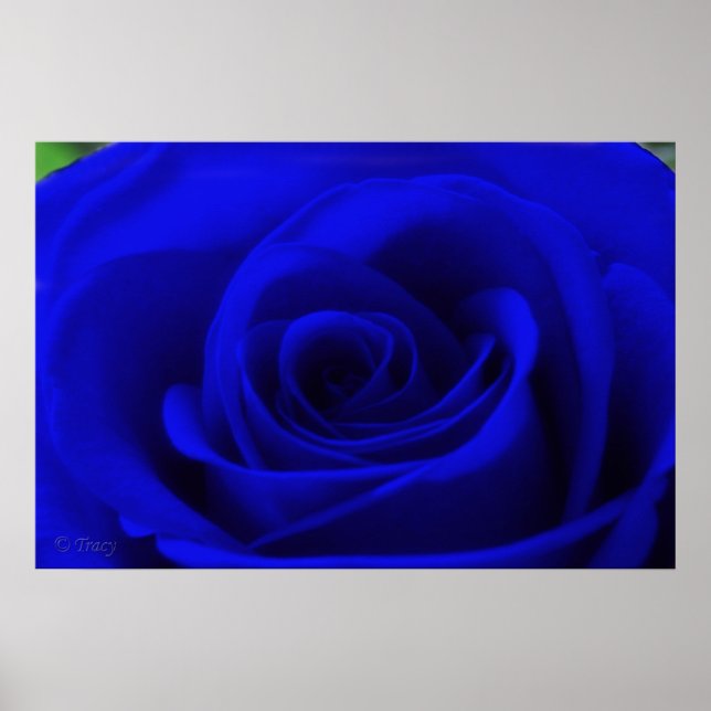 Affiches Bleu de minuit (Devant)