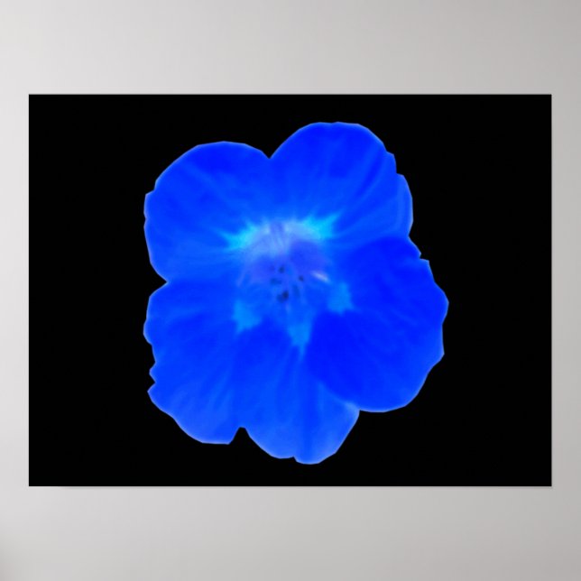 Affiches Bleu Nasturtium (Devant)