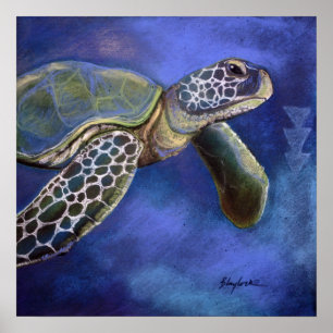Affiches Bleus de tortue