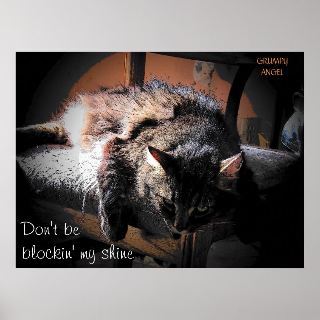 Affiches Blockin' my shire - Grumpy Angel (Devant)