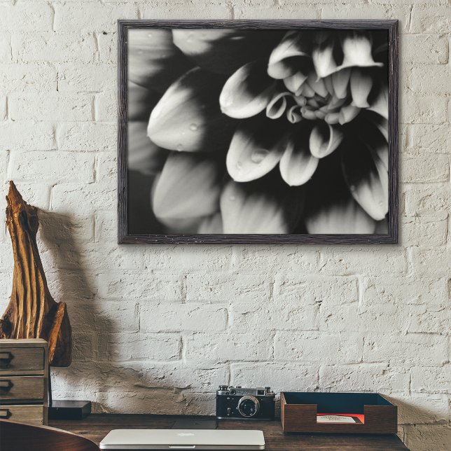 Affiches Blossom noir et blanc Dahlia (Créateur téléchargé)
