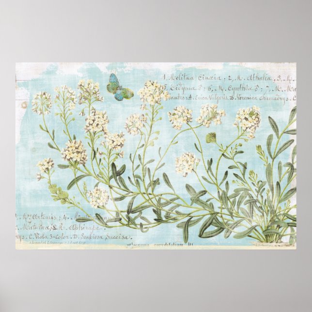 Affiches Blue Botanical (Devant)