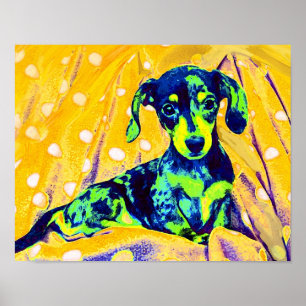 Affiches blue doxie