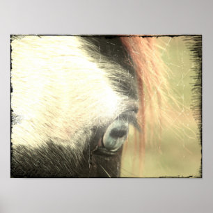Affiches Blue Eye Grunge