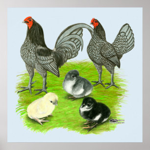 Affiches Blue Game Family