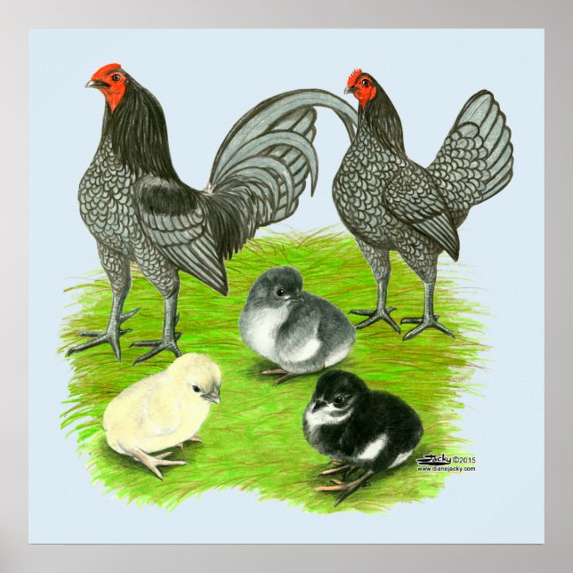 Affiches Blue Game Family (Devant)