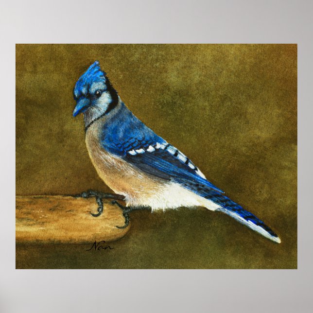 Affiches Blue Jay Print (Devant)