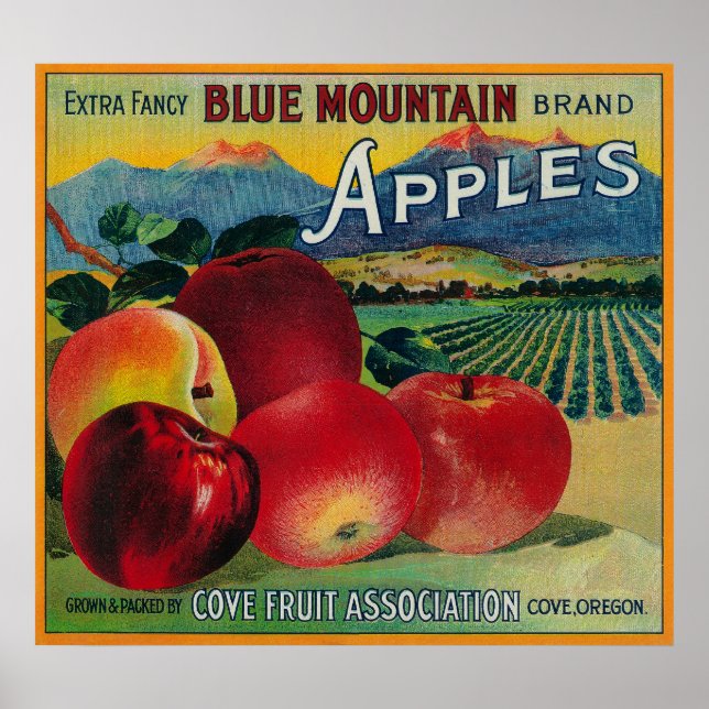 Affiches Blue Mountain Apple Crate LabelCove, OU (Devant)