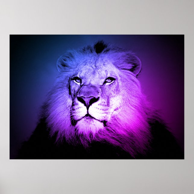 Affiches Blue Pop Art Lion - Wild Animal Photographie (Devant)