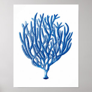 Affiches Blue Sea Coral Art Imprimer #1 Beach House Wall Ar