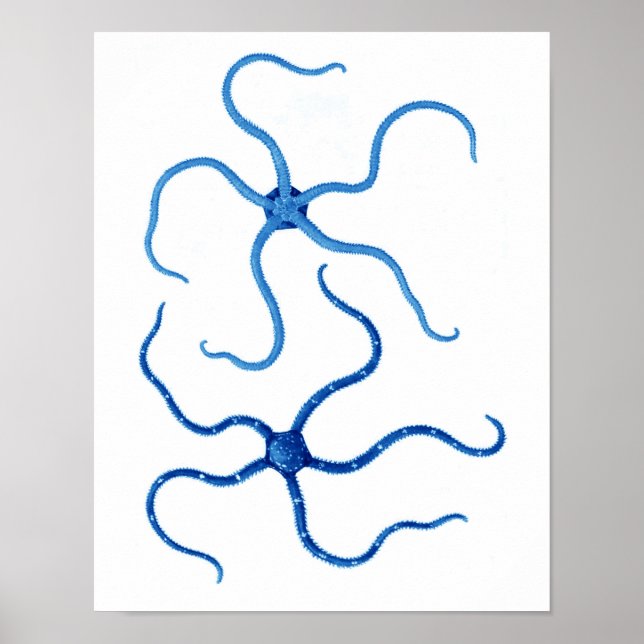 Affiches Blue Starfish no. 6 beach wall decor (Devant)