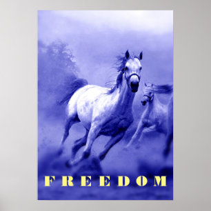 Affiches Blue Wild Horses Motivation Freedom Artwork