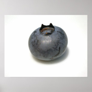 Affiches Blueberries que je connais 13
