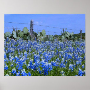 Affiches Bluebonnets de pays de colline du Texas/copie art