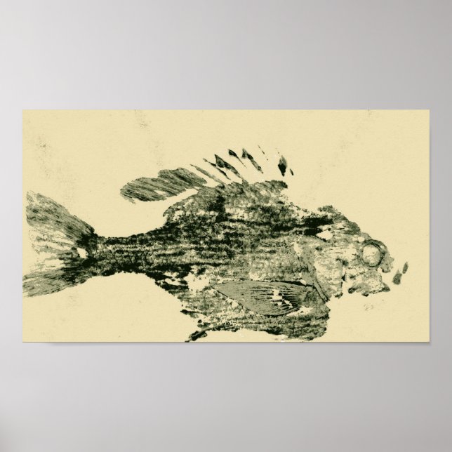 Affiches Bluegill (Devant)