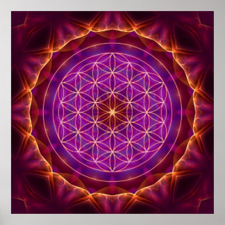Affiches Blume des Lebens mit Lila-goldenem Mandala
