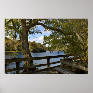Affiches Boardwalk de Suwannee River