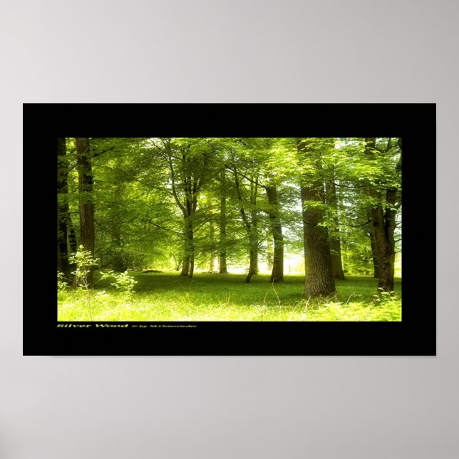 Affiches Bois argenté (Devant)